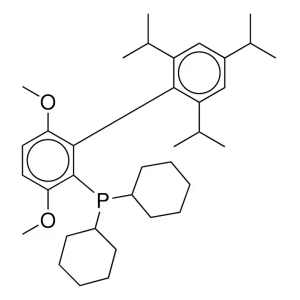 CAS NO.1070663-78-3     BrettPhos